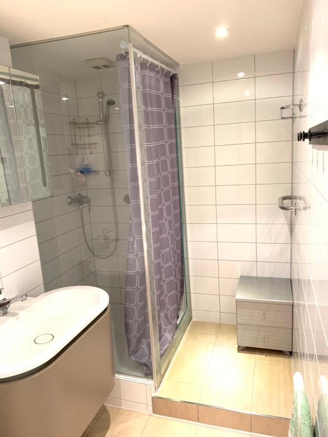 Xl City Center Apartment-Contactless Check-In Basilea Esterno foto