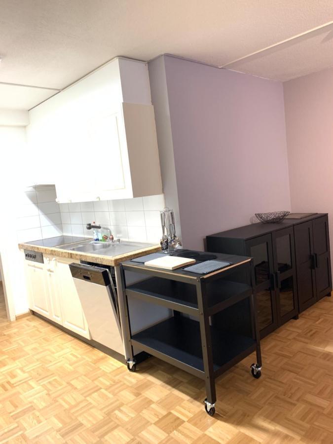 Xl City Center Apartment-Contactless Check-In Basilea Esterno foto