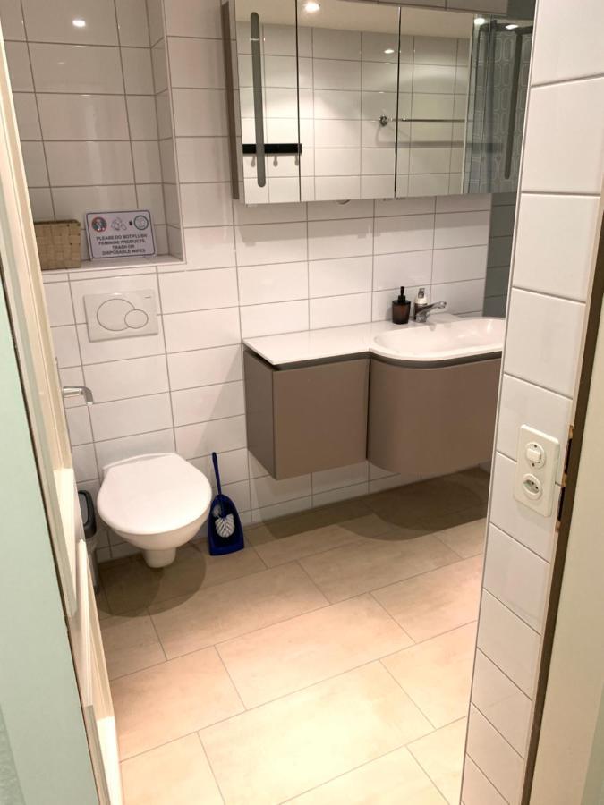 Xl City Center Apartment-Contactless Check-In Basilea Esterno foto